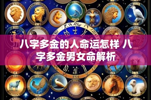 八字多金的人命运怎样 八字多金男女命解析