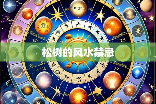 松树的风水禁忌