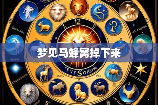 梦见马蜂窝掉下来
