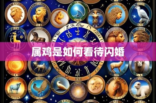 属鸡是如何看待闪婚