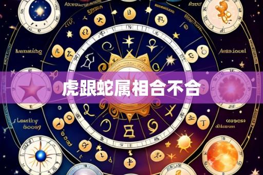 虎跟蛇属相合不合