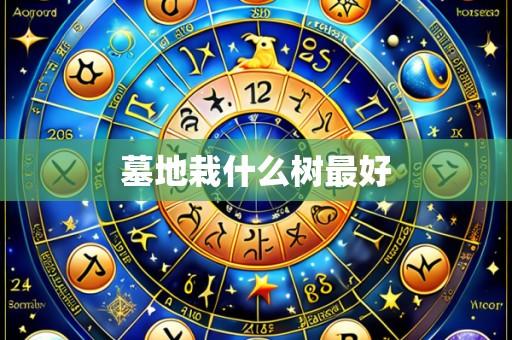 墓地栽什么树最好