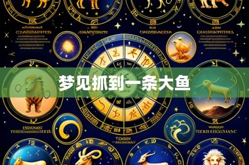 梦见抓到一条大鱼