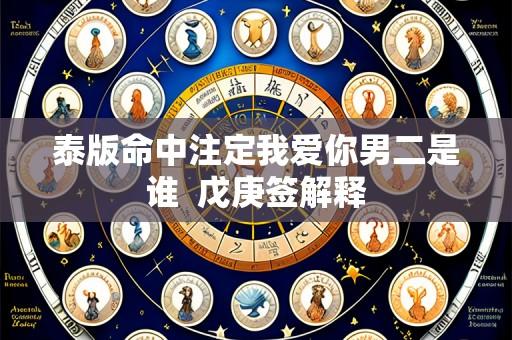 泰版命中注定我爱你男二是谁 戊庚签解释