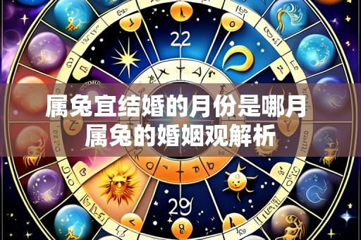 属兔宜结婚的月份是哪月 属兔的婚姻观解析