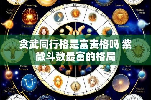贪武同行格是富贵格吗 紫微斗数最富的格局