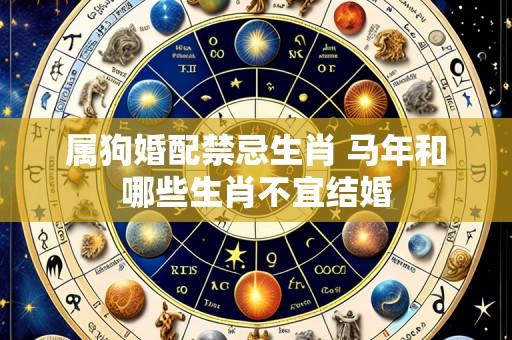 属狗婚配禁忌生肖 马年和哪些生肖不宜结婚