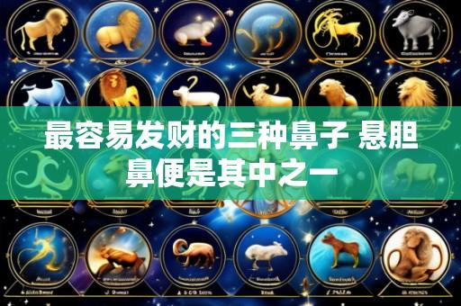 最容易发财的三种鼻子 悬胆鼻便是其中之一