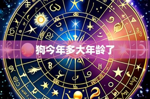 狗今年多大年龄了