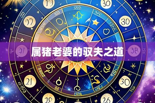 属猪老婆的驭夫之道