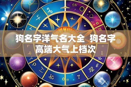 狗名字洋气名大全 狗名字高端大气上档次