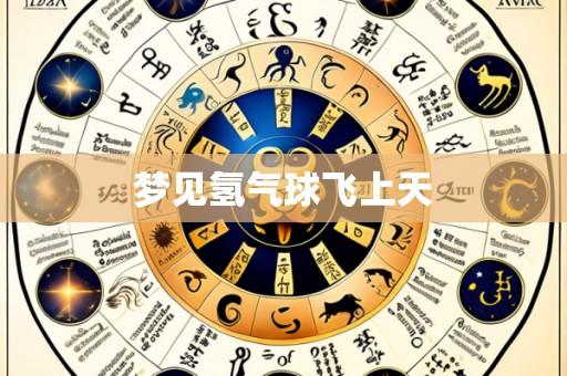 梦见氢气球飞上天