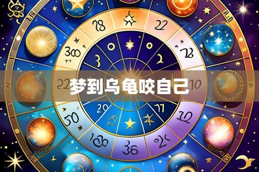 梦到乌龟咬自己