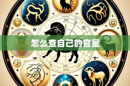 怎么查自己的官星
