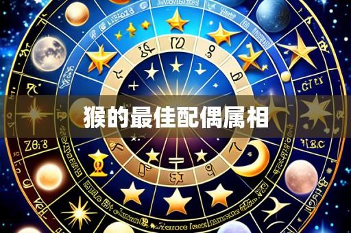 猴的最佳配偶属相