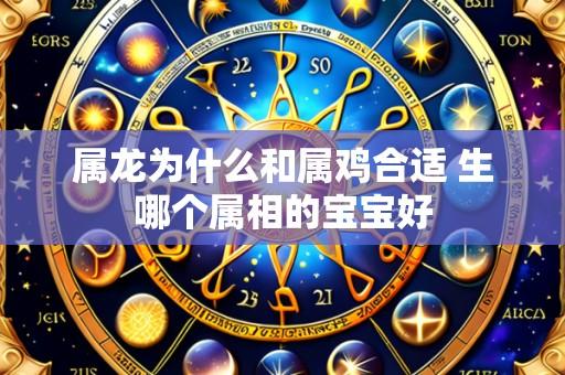 属龙为什么和属鸡合适 生哪个属相的宝宝好