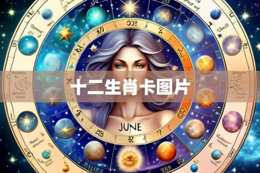 十二生肖卡图片