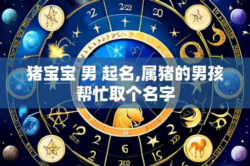 猪宝宝 男 起名,属猪的男孩帮忙取个名字