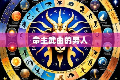 命主武曲的男人