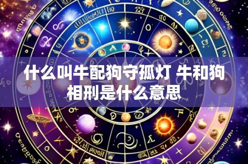 什么叫牛配狗守孤灯 牛和狗相刑是什么意思