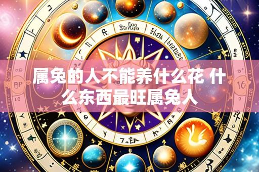 属兔的人不能养什么花 什么东西最旺属兔人
