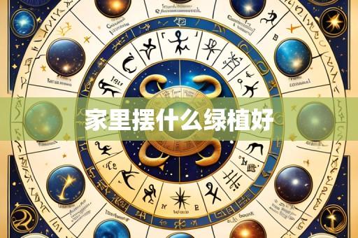 家里摆什么绿植好