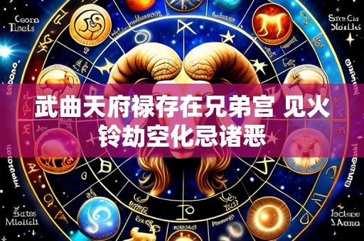 武曲天府禄存在兄弟宫 见火铃劫空化忌诸恶