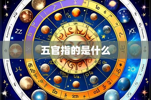 五官指的是什么