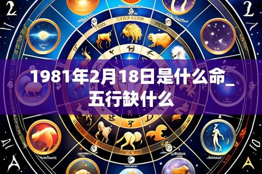 1981年2月18日是什么命_五行缺什么