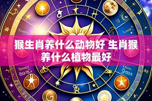 猴生肖养什么动物好 生肖猴养什么植物最好