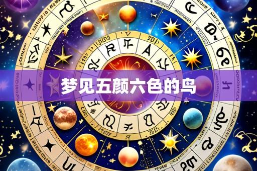 梦见五颜六色的鸟