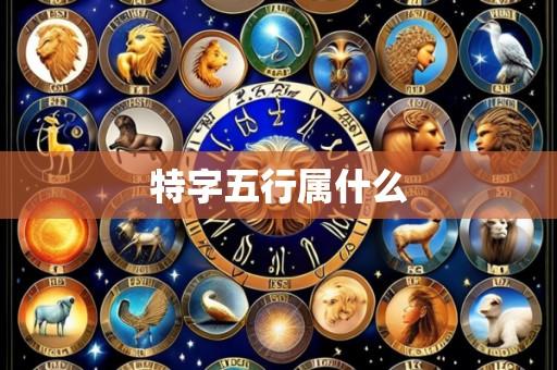 特字五行属什么
