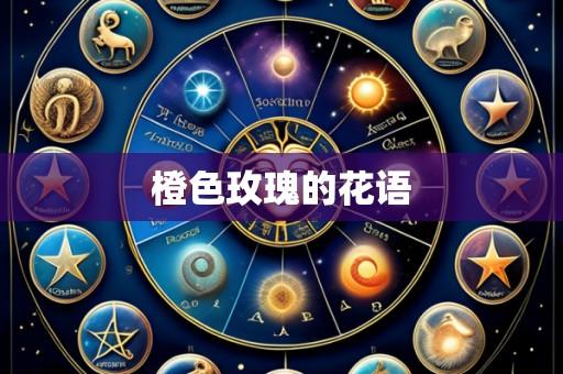 橙色玫瑰的花语
