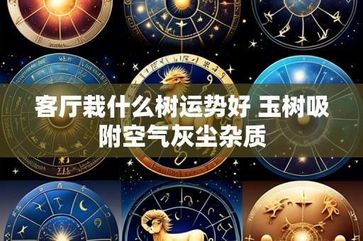 客厅栽什么树运势好 玉树吸附空气灰尘杂质