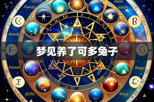 梦见养了可多兔子