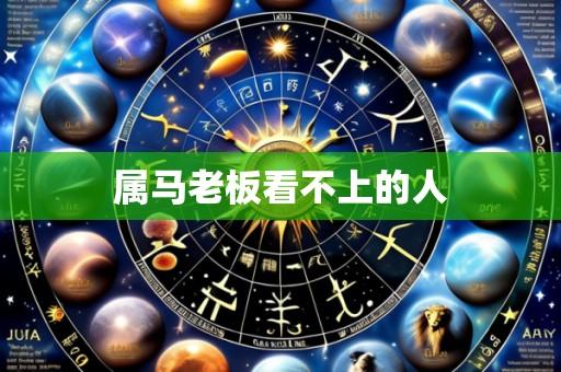 属马老板看不上的人