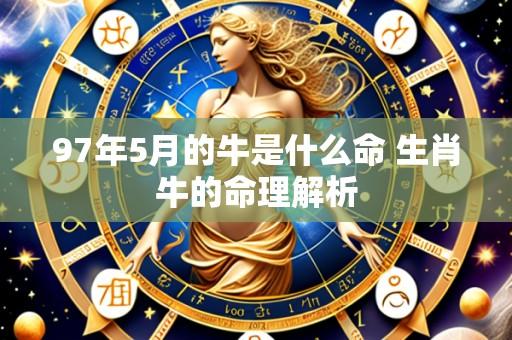 97年5月的牛是什么命 生肖牛的命理解析