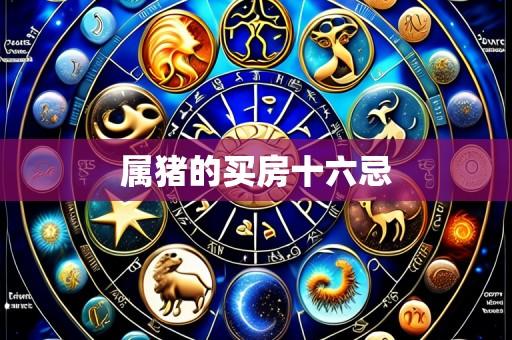 属猪的买房十六忌