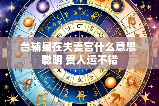 台辅星在夫妻宫什么意思 聪明 贵人运不错