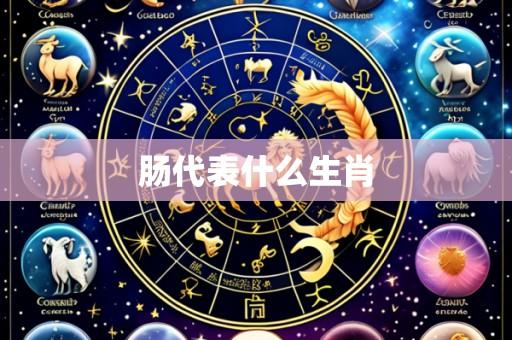 肠代表什么生肖