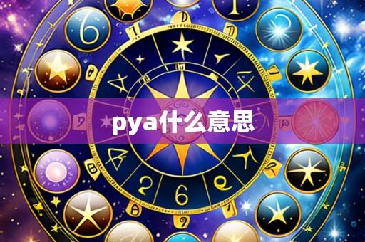 pya什么意思