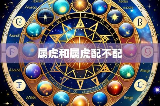 属虎和属虎配不配