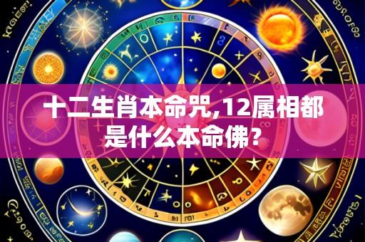 十二生肖本命咒,12属相都是什么本命佛?