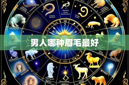 男人哪种眉毛最好