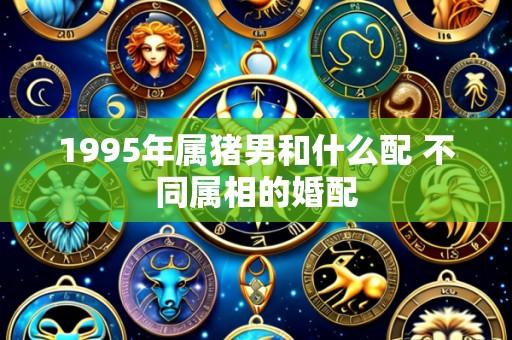 1995年属猪男和什么配 不同属相的婚配