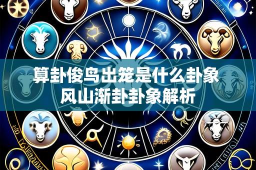 算卦俊鸟出笼是什么卦象 风山渐卦卦象解析