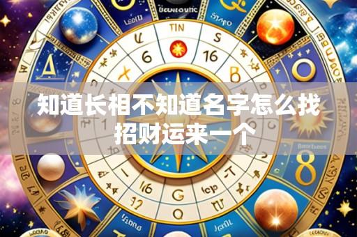 知道长相不知道名字怎么找 招财运来一个