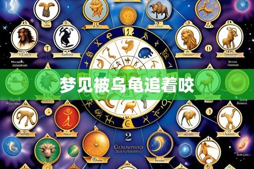 梦见被乌龟追着咬