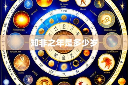知非之年是多少岁