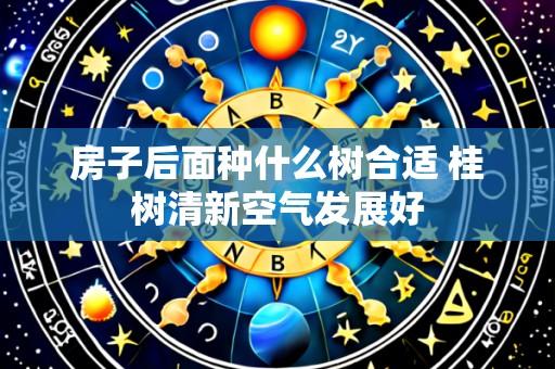 房子后面种什么树合适 桂树清新空气发展好